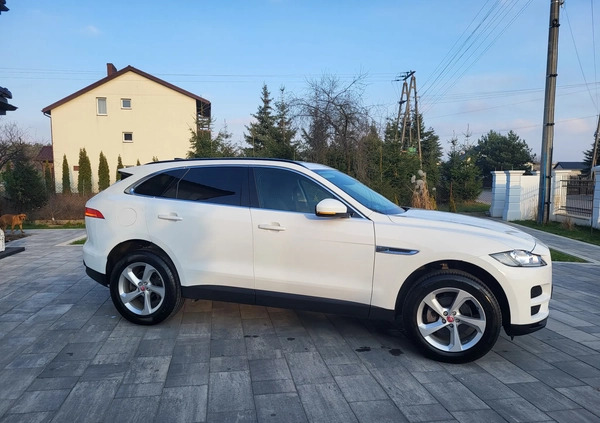 Jaguar F-Pace cena 169500 przebieg: 17500, rok produkcji 2020 z Wyszków małe 742